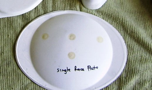 Race-Plate-Fibreglass.jpg