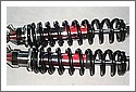 Rear Suspension Biturbo gas shocks.jpg